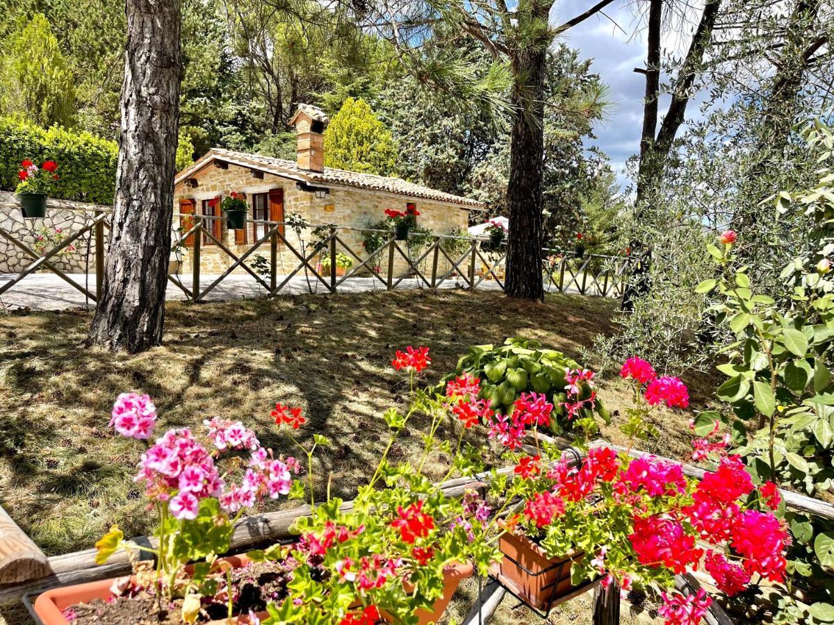La Panoramica Gubbio - Maison de Charme - Casette e appartamenti self catering per vacanze meravigliose! Esterno foto
