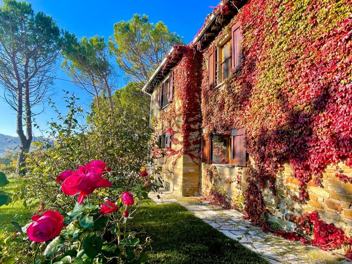 La Panoramica Gubbio - Maison de Charme - Casette e appartamenti self catering per vacanze meravigliose! Esterno foto