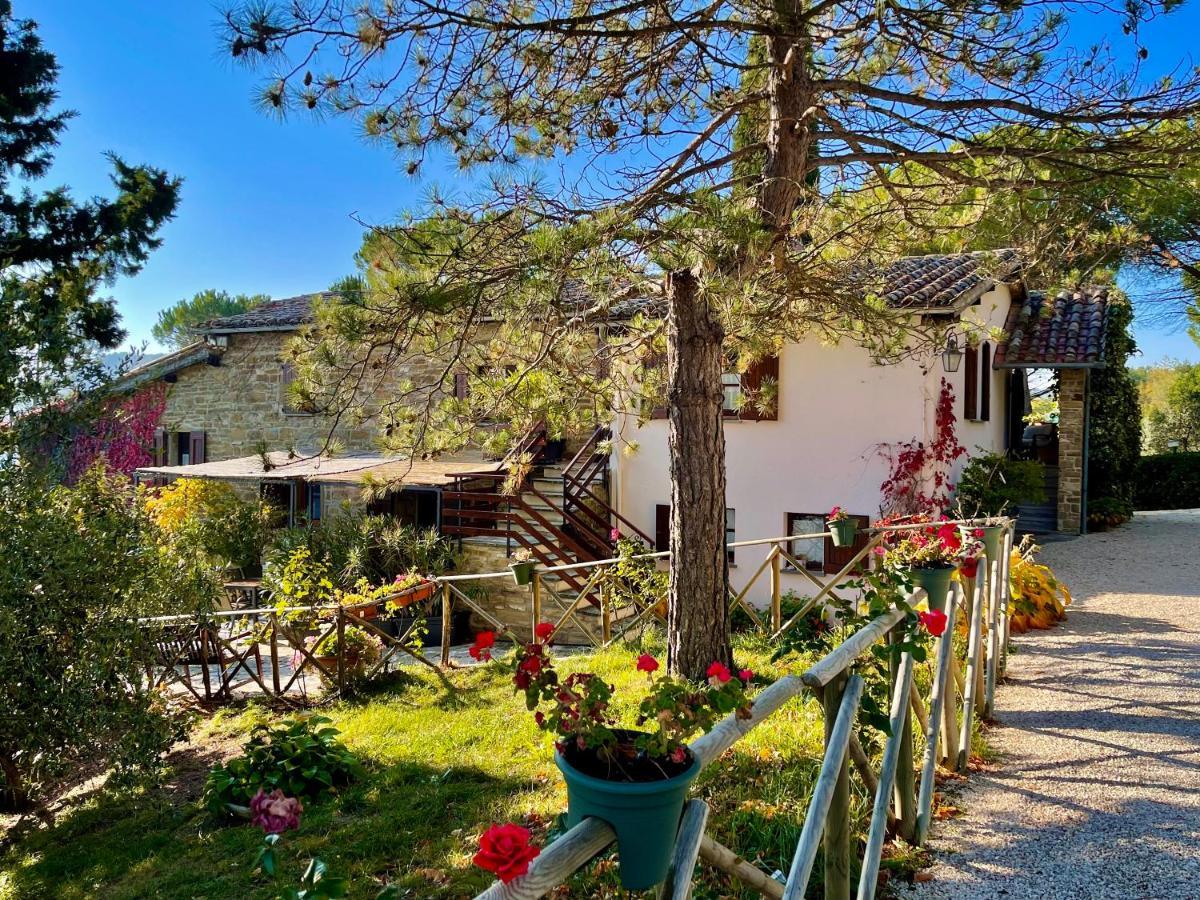 La Panoramica Gubbio - Maison de Charme - Casette e appartamenti self catering per vacanze meravigliose! Esterno foto