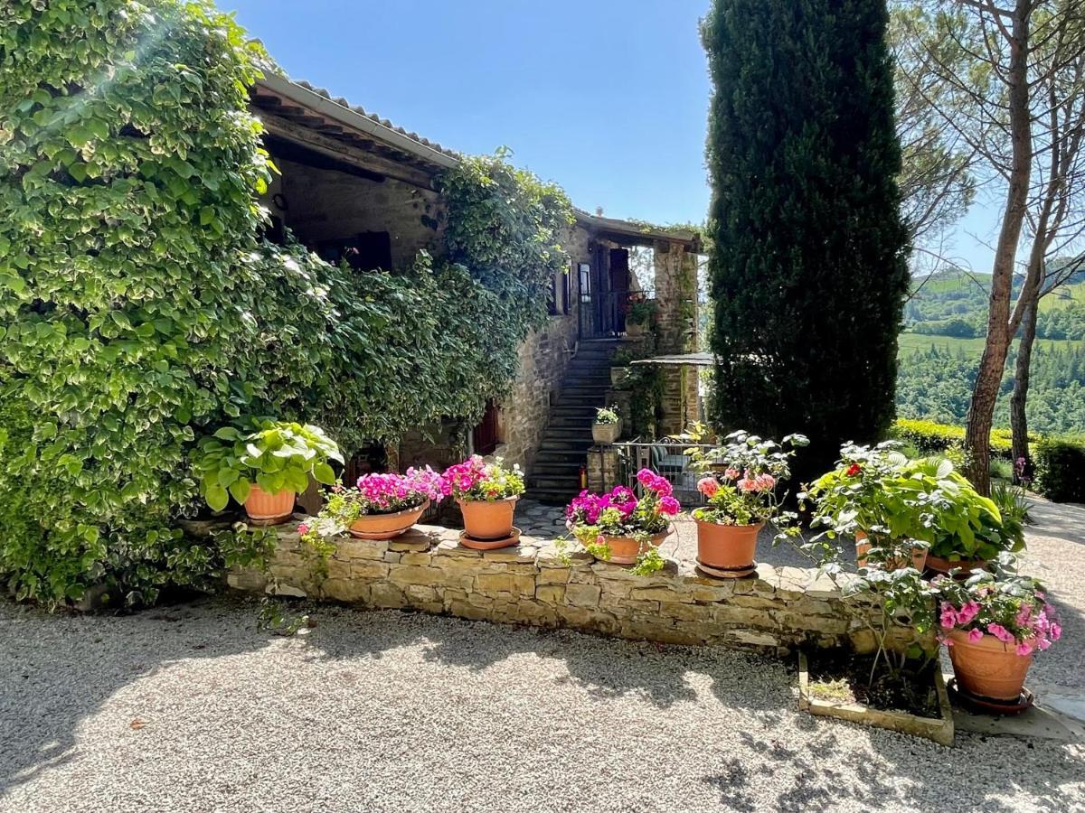 La Panoramica Gubbio - Maison de Charme - Casette e appartamenti self catering per vacanze meravigliose! Esterno foto