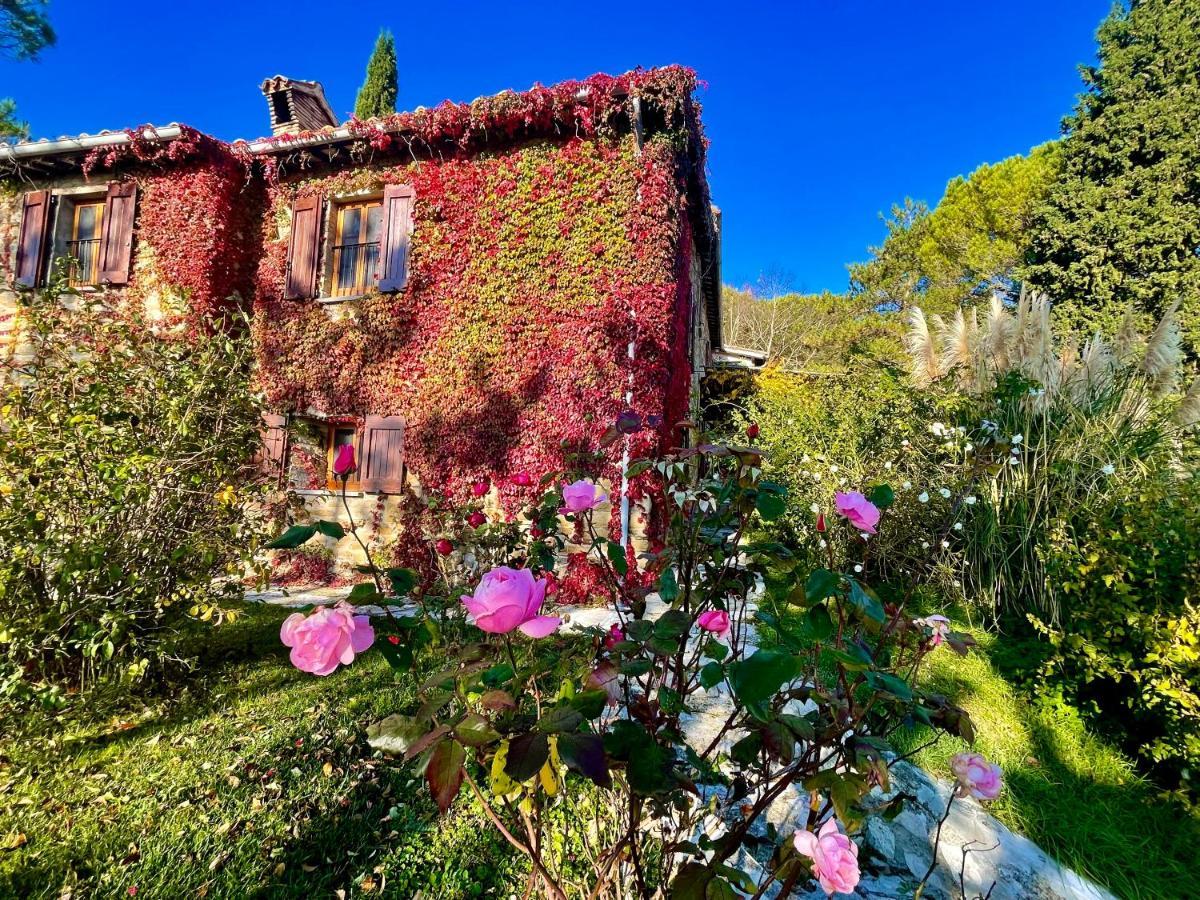 La Panoramica Gubbio - Maison de Charme - Casette e appartamenti self catering per vacanze meravigliose! Esterno foto