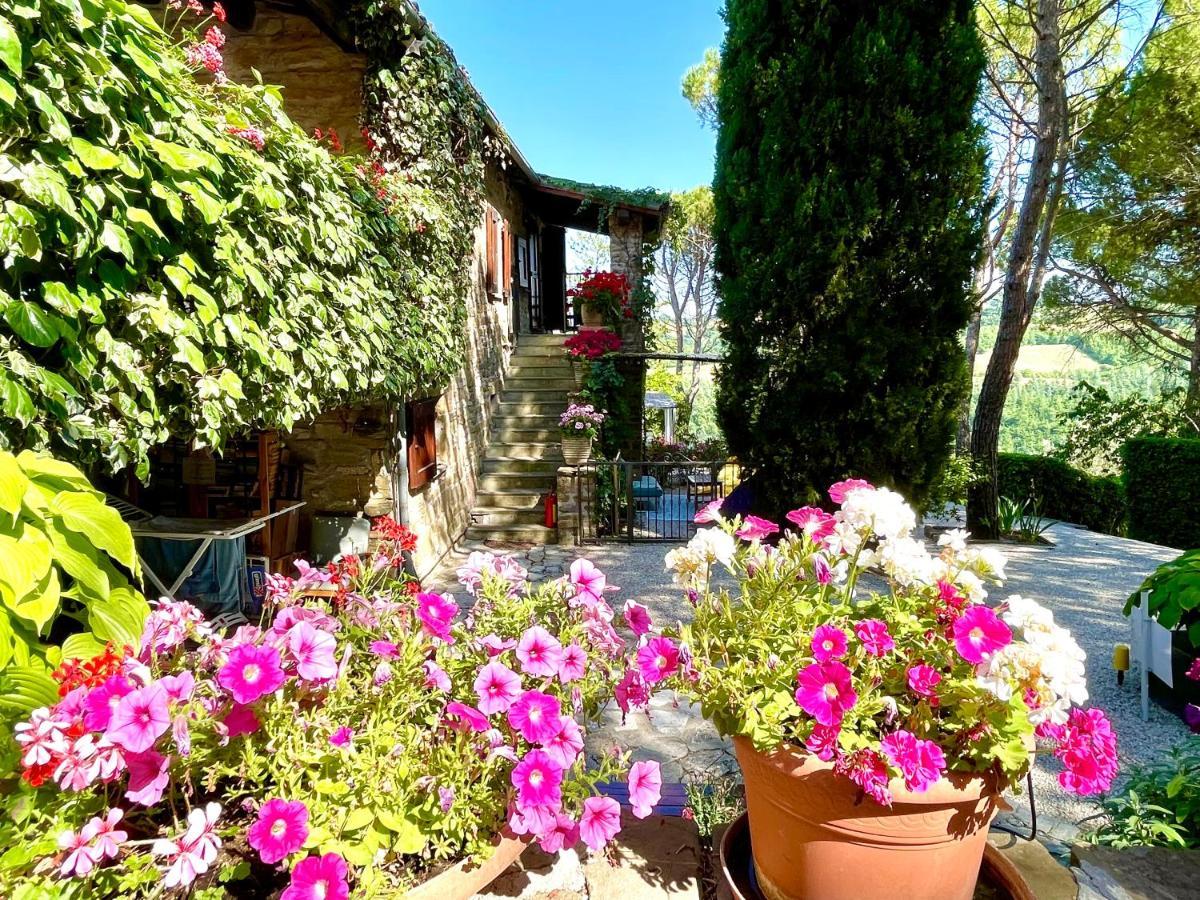 La Panoramica Gubbio - Maison de Charme - Casette e appartamenti self catering per vacanze meravigliose! Esterno foto